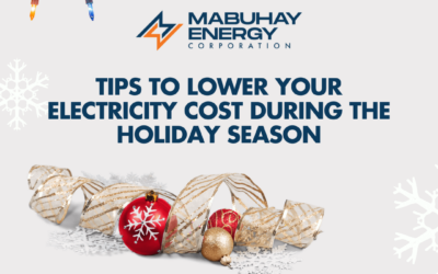 Tips to lower your electricity cost this holiday season
